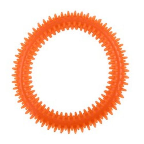 Orgo Ring Fetch and Retrieve Dog Toy