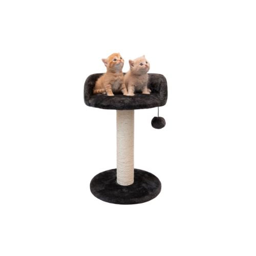Cat Scratching Tree