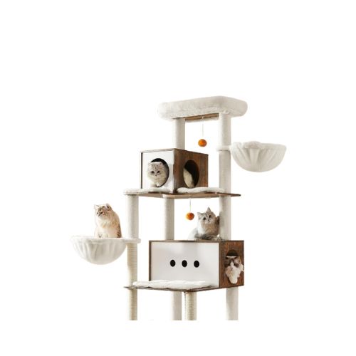 Cat Scratching Tree