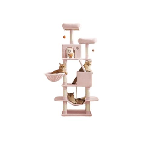 Cat Scratching Tree