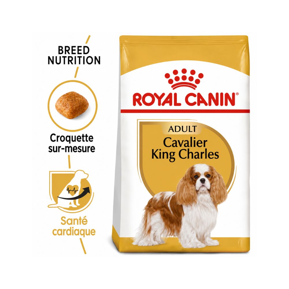 Royal Canin Dog Dry Food king Charl Cavalier 3 kg