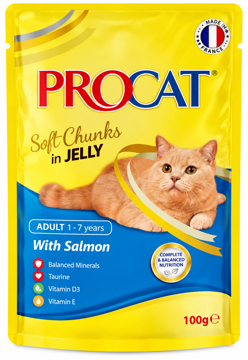 Procat Adult Wet Cat Food with Salmon in Jelly – 100 G