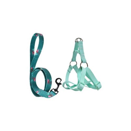Green Dog Harness Large Size with Teal Patterned Leash by Naomi