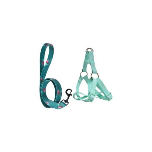 Green Dog Harness Small Size with Teal-Patterned Leash by Naomi Leash 120x1.5 cm