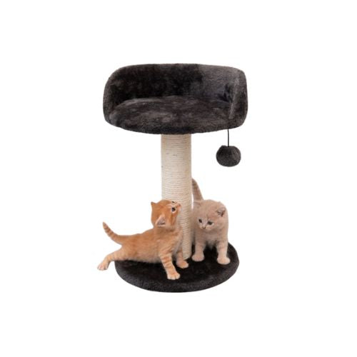 Cat Scratching Tree