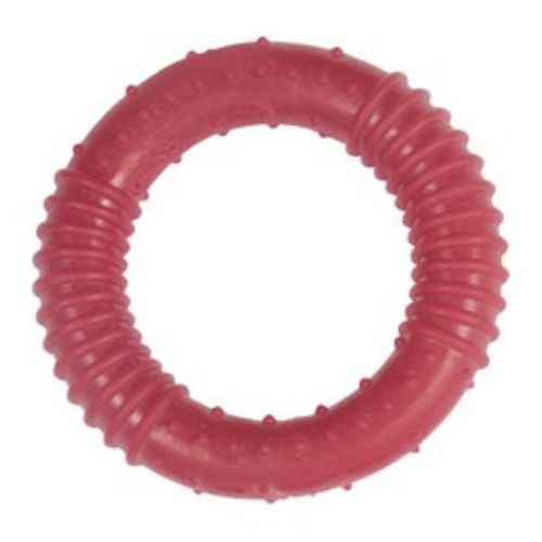 Orgo Ring-Shaped Dog Chew Toy