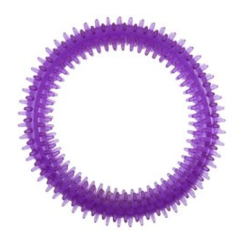 Orgo Ring Fetch and Retrieve Dog Toy