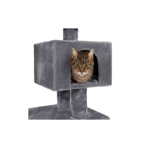 Cat Scratching Tree