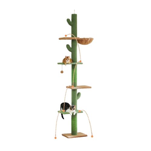 Cat Scratching Tree