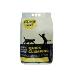Candy Lemon Scented Cat Litter 5L