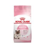 Royal Canin Mother & Babycat Dry Food for Kittens & Nursing Cats 4kg