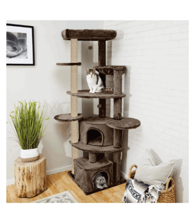 Cat Scratching Tree
