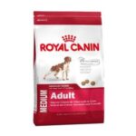 Royal Canin Medium Adult Dry Dog Food 15kg