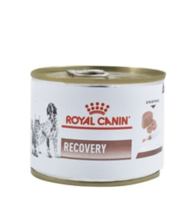 Royal Canin Recovery Canned Veterinary Diet for Cats & Dogs 195g