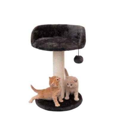 Cat Scratching Tree