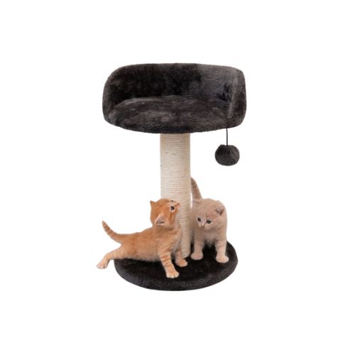 Cat Scratching Tree