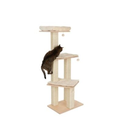 Cat Scratching Tree