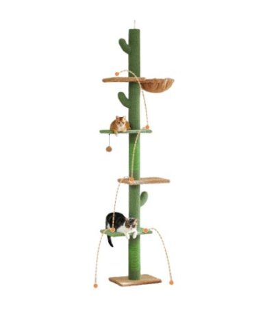 Cat Scratching Tree