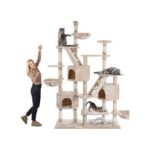 Cat Scratching Tree