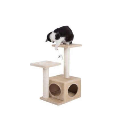 Cat Scratching Tree