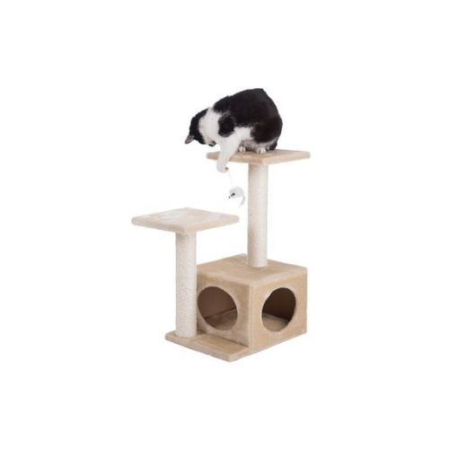 Cat Scratching Tree