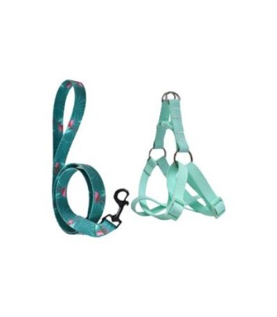Green Dog Harness – Large Size with Teal-Patterned Leash by Naomi