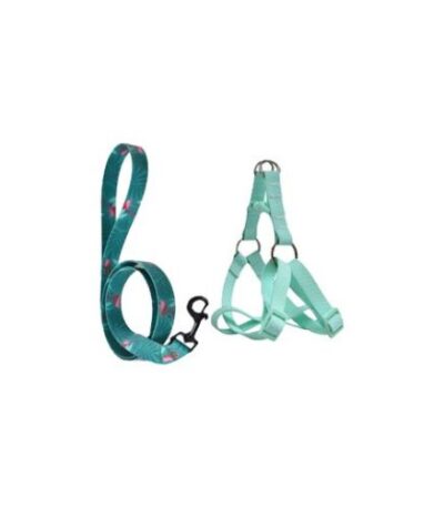 Green Dog Harness – Small Size with Teal-Patterned Leash by Naomi (Leash: 120x1.5 cm)