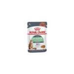 Royal Canin Digest Sensitive Care (in Gravy) 85gm