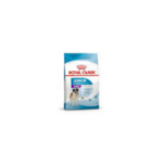 ROYAL CANIN GIANT JUNIOR DRY FOOD 3.5 kg